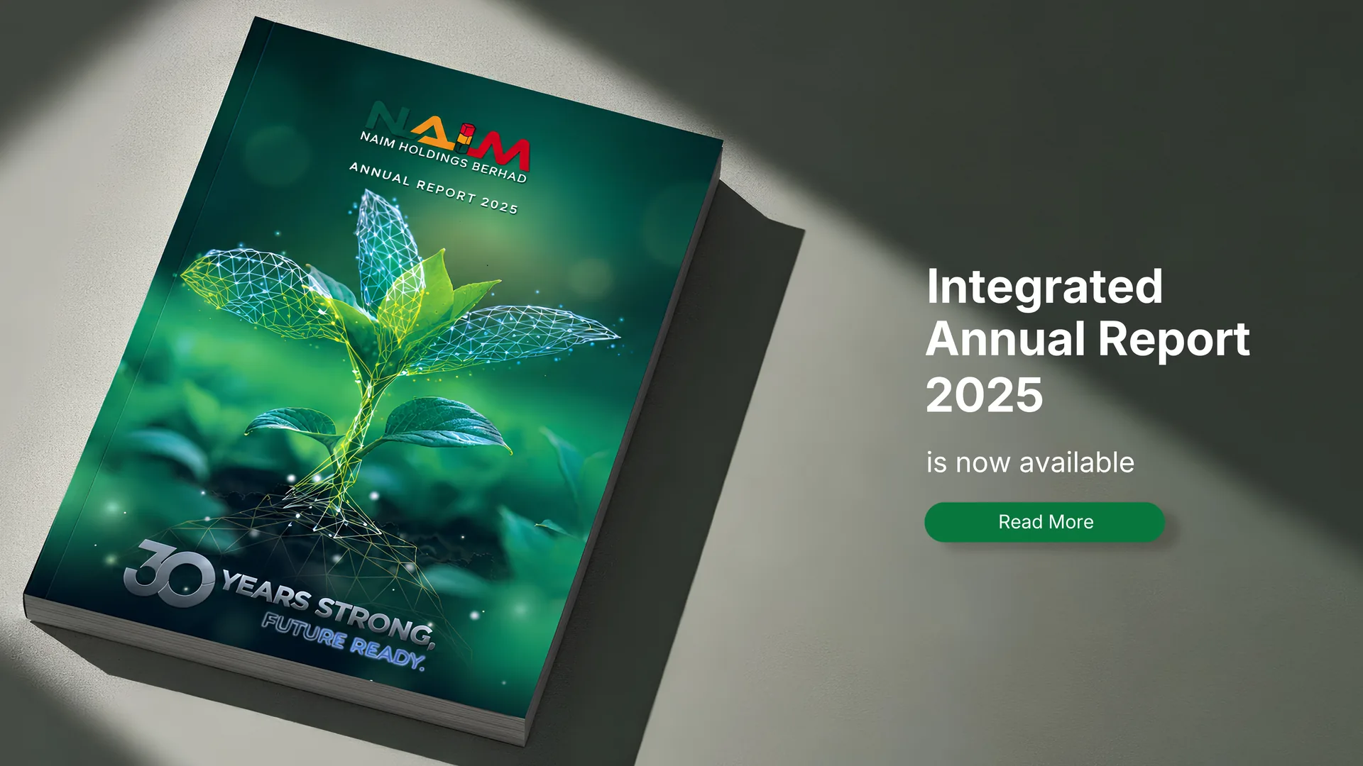 NAIM Integrated Annual Report 2025
